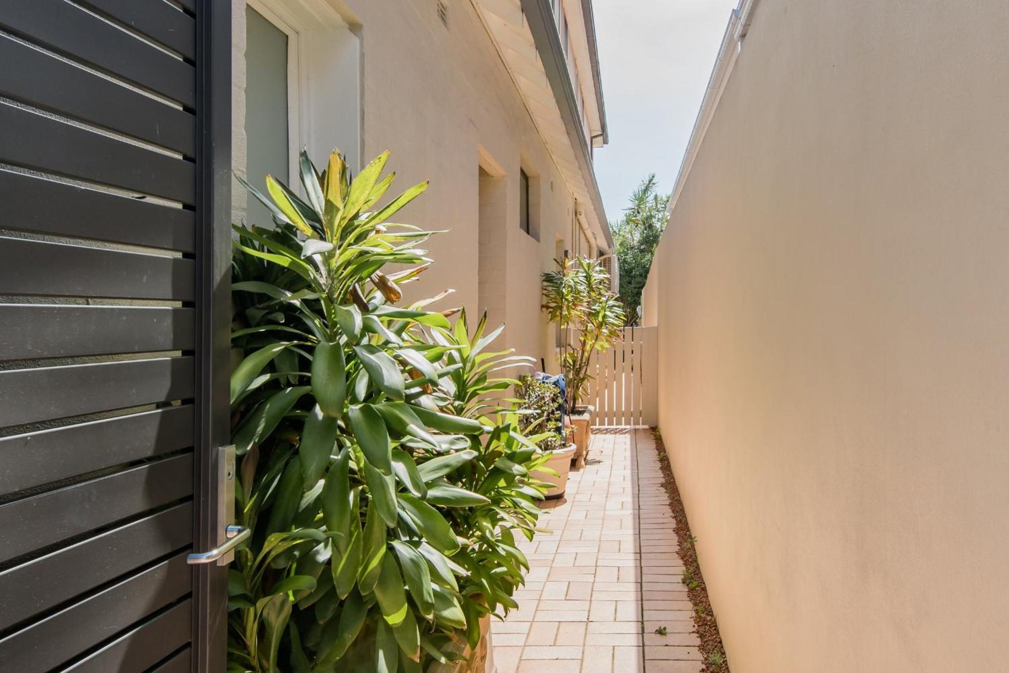 סידני Holidayrento The Palm House Bondi מראה חיצוני תמונה